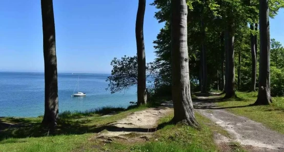 The nature in Kerteminde